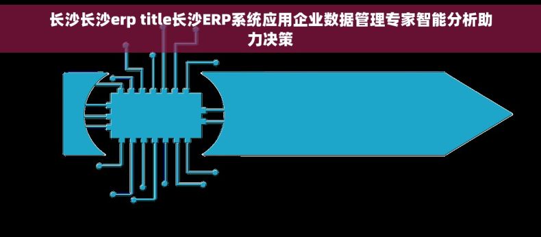 长沙长沙erp title长沙ERP系统应用企业数据管理专家智能分析助力决策