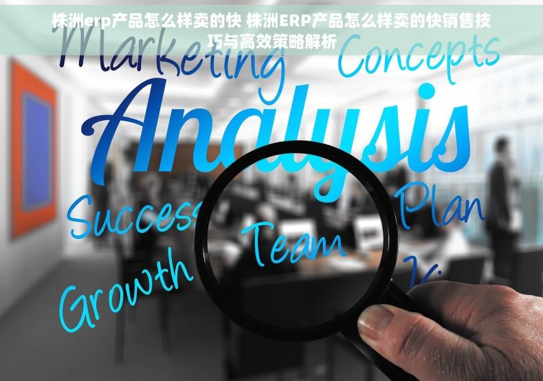 株洲erp产品怎么样卖的快 株洲ERP产品怎么样卖的快销售技巧与高效策略解析