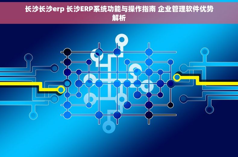长沙长沙erp 长沙ERP系统功能与操作指南 企业管理软件优势解析