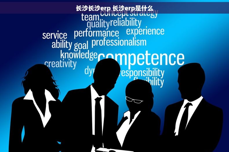 长沙长沙erp 长沙erp是什么