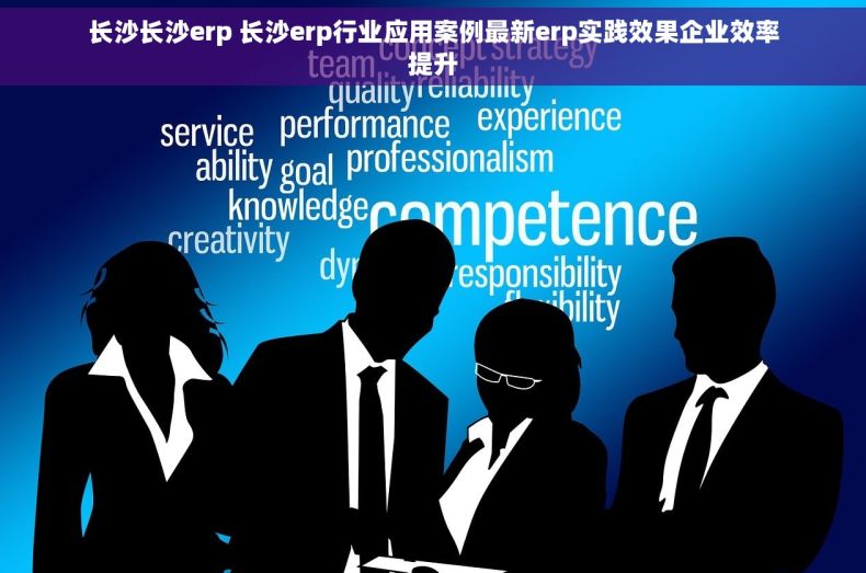 长沙长沙erp 长沙erp行业应用案例最新erp实践效果企业效率提升