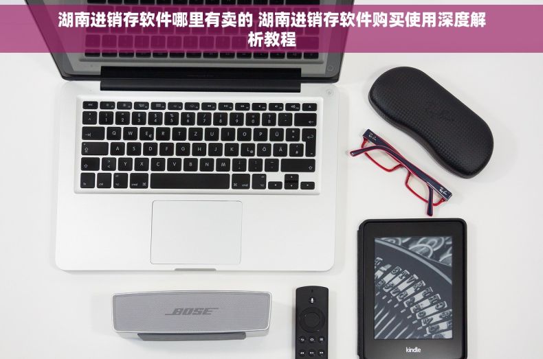 湖南进销存软件哪里有卖的 湖南进销存软件购买使用深度解析教程