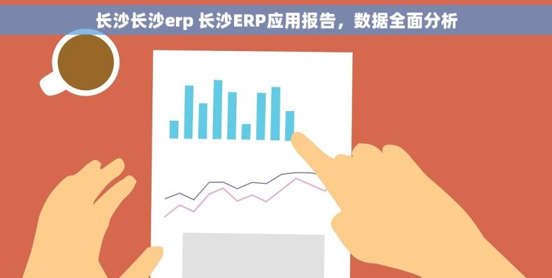 长沙长沙erp 长沙ERP应用报告，数据全面分析