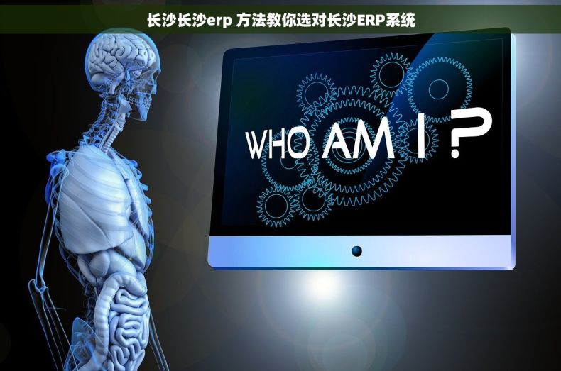 长沙长沙erp 方法教你选对长沙ERP系统