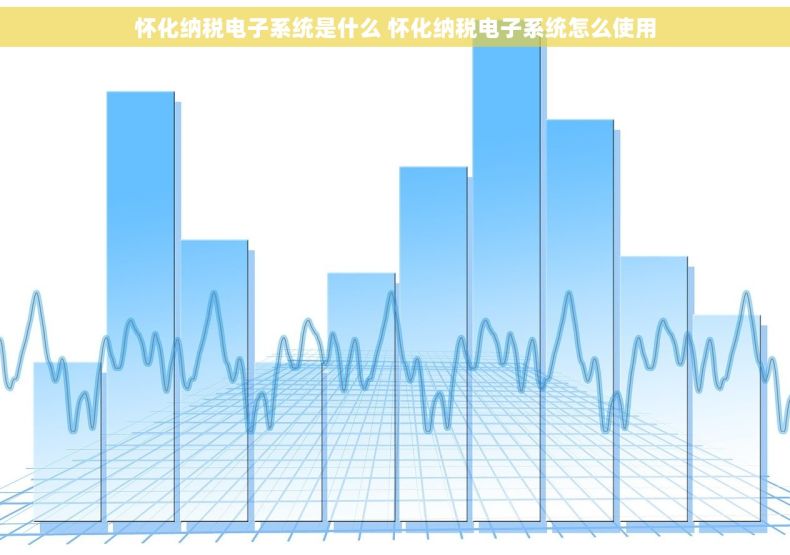 怀化纳税电子系统是什么 怀化纳税电子系统怎么使用
