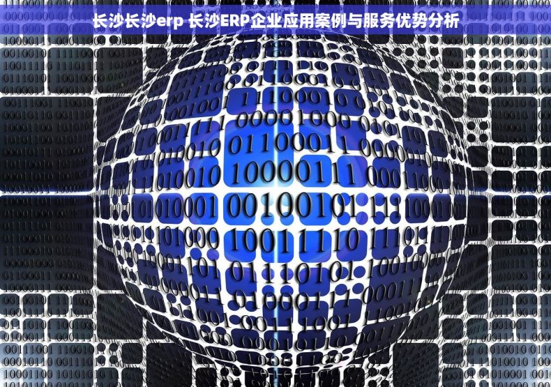 长沙长沙erp 长沙ERP企业应用案例与服务优势分析