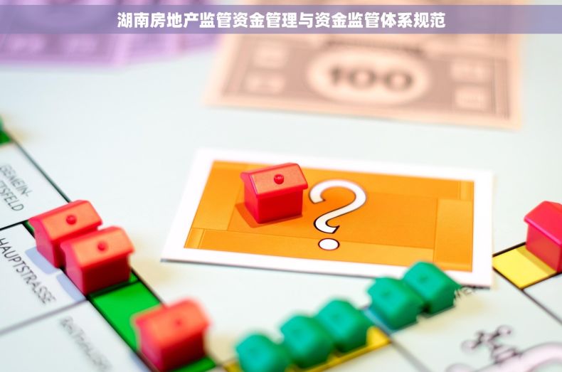 湖南房地产监管资金管理与资金监管体系规范