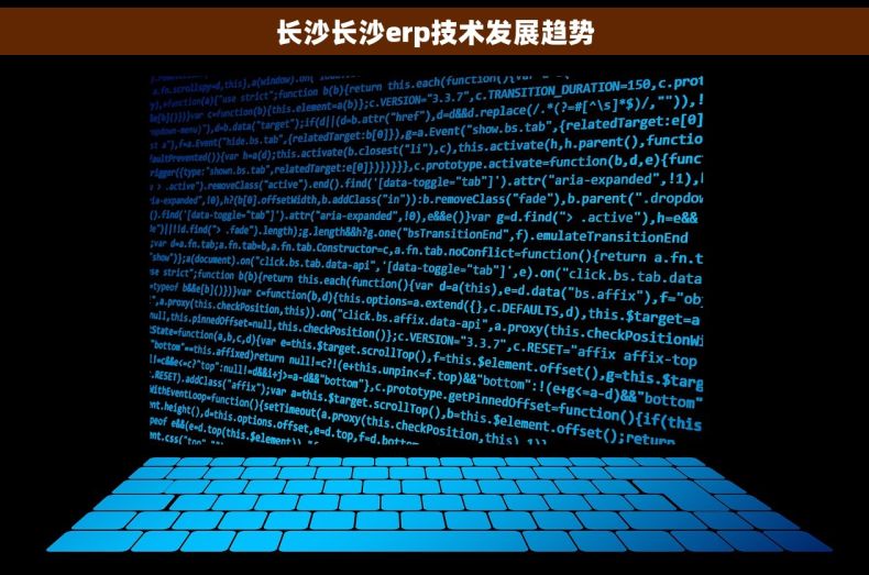 长沙长沙erp技术发展趋势