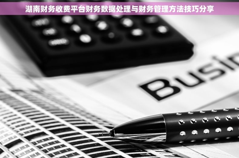 湖南财务收费平台财务数据处理与财务管理方法技巧分享