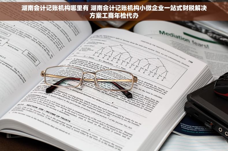 湖南会计记账机构哪里有 湖南会计记账机构小微企业一站式财税解决方案工商年检代办