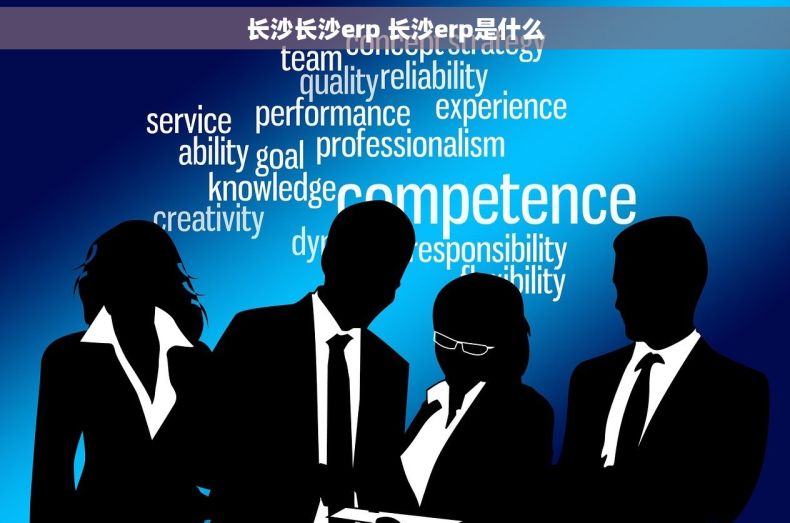 长沙长沙erp 长沙erp是什么