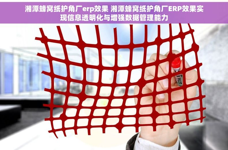 湘潭蜂窝纸护角厂erp效果 湘潭蜂窝纸护角厂ERP效果实现信息透明化与增强数据管理能力