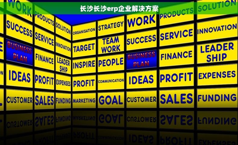长沙长沙erp企业解决方案