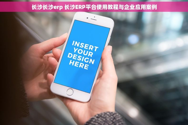 长沙长沙erp 长沙ERP平台使用教程与企业应用案例