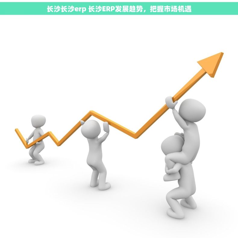 长沙长沙erp 长沙ERP发展趋势，把握市场机遇