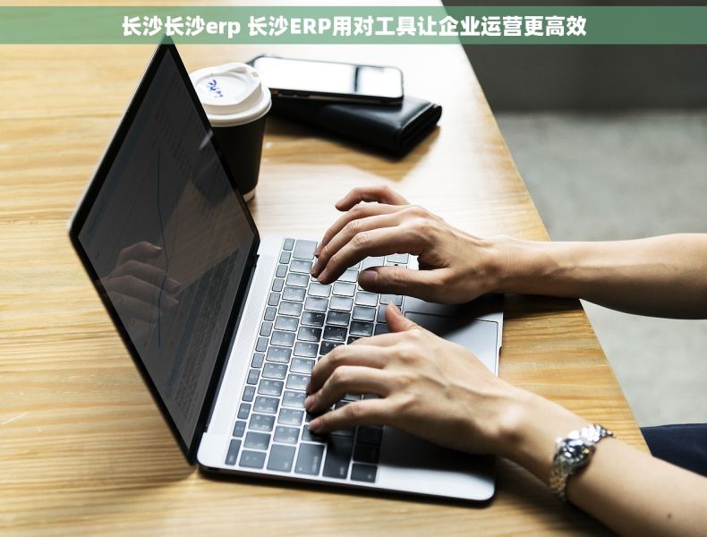 长沙长沙erp 长沙ERP用对工具让企业运营更高效