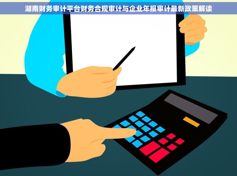湖南财务审计平台财务合规审计与企业年报审计最新政策解读