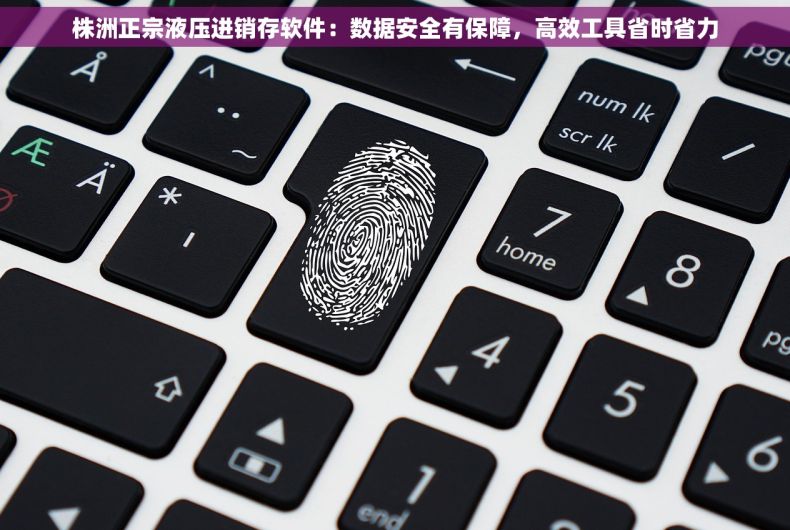 株洲正宗液压进销存软件：数据安全有保障，高效工具省时省力