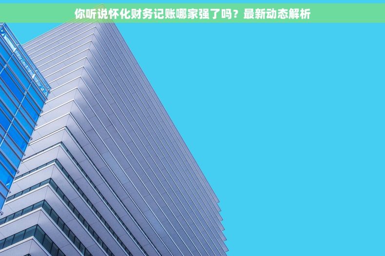 你听说怀化财务记账哪家强了吗？最新动态解析