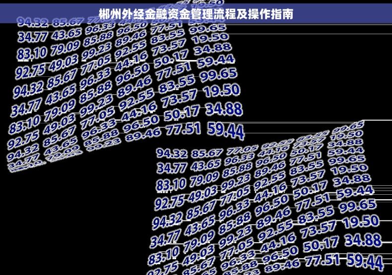 郴州外经金融资金管理流程及操作指南
