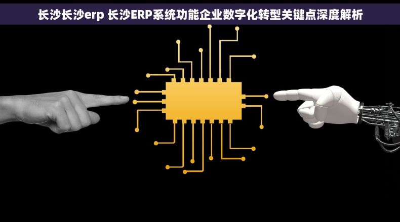 长沙长沙erp 长沙ERP系统功能企业数字化转型关键点深度解析