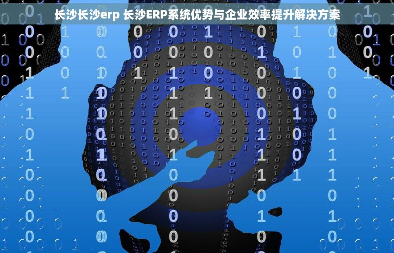 长沙长沙erp 长沙ERP系统优势与企业效率提升解决方案