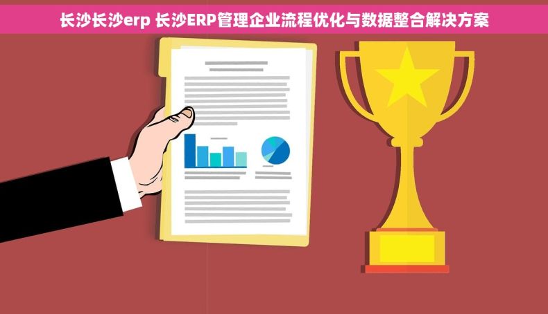 长沙长沙erp 长沙ERP管理企业流程优化与数据整合解决方案