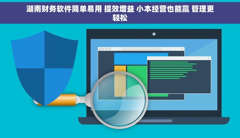 湖南财务软件简单易用 提效增益 小本经营也能赢 管理更轻松