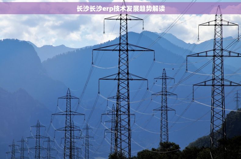 长沙长沙erp技术发展趋势解读