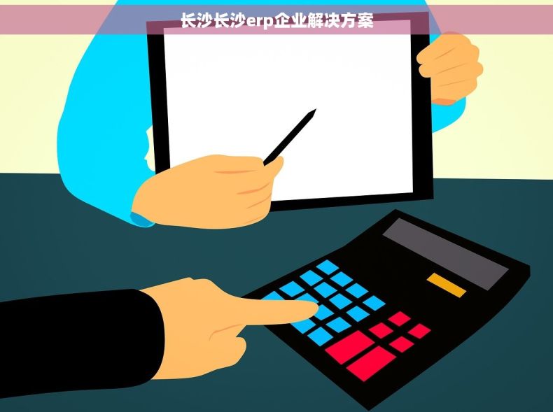 长沙长沙erp企业解决方案