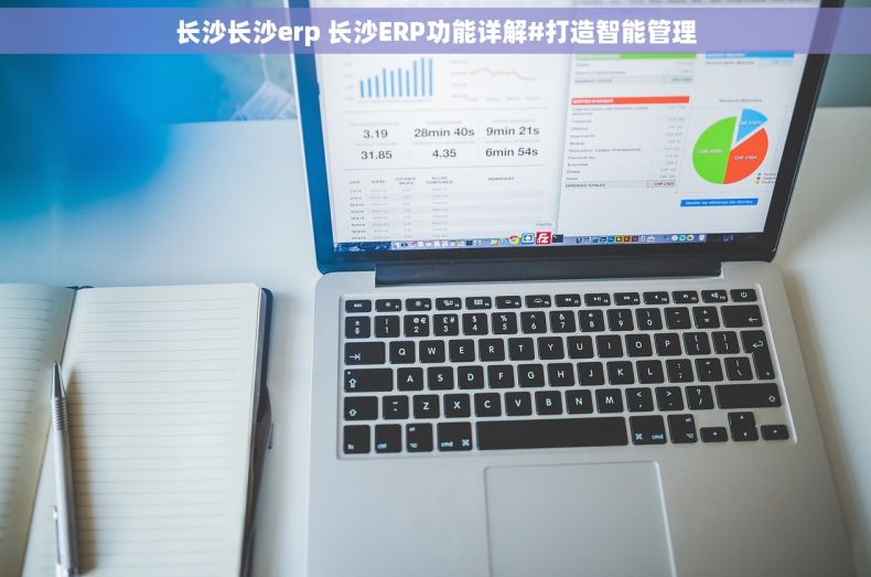 长沙长沙erp 长沙ERP功能详解#打造智能管理