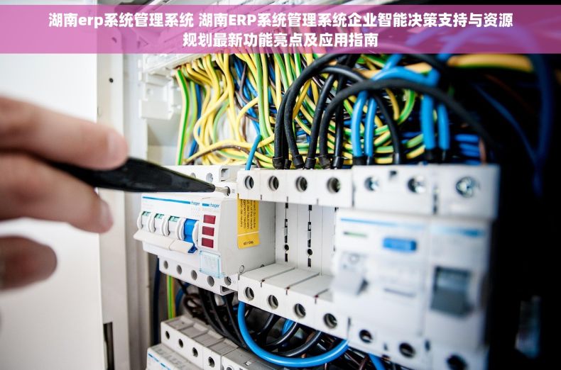湖南erp系统管理系统 湖南ERP系统管理系统企业智能决策支持与资源规划最新功能亮点及应用指南