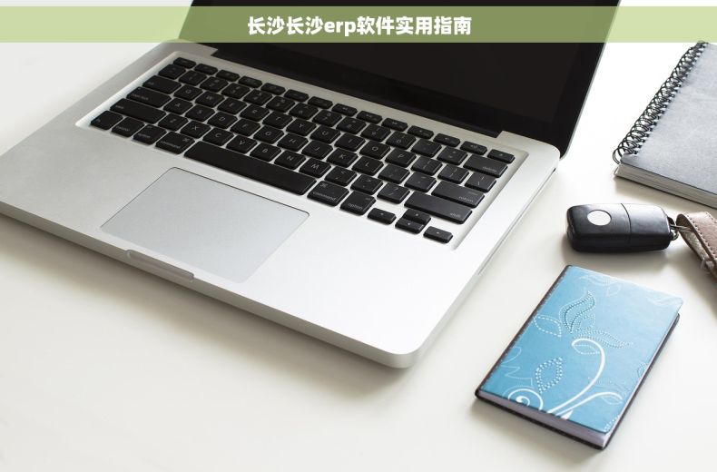 长沙长沙erp软件实用指南