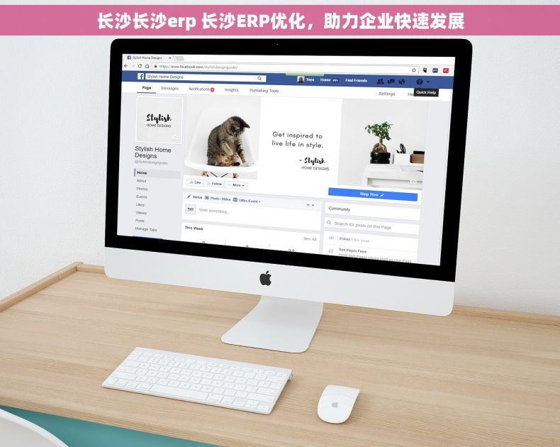 长沙长沙erp 长沙ERP优化，助力企业快速发展