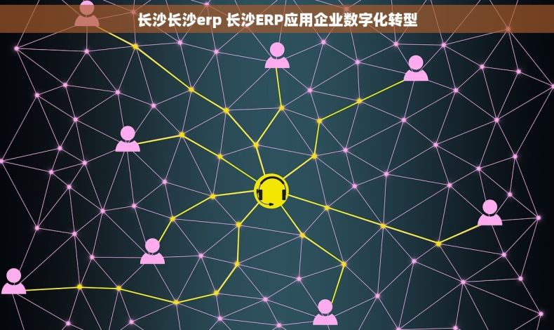 长沙长沙erp 长沙ERP应用企业数字化转型