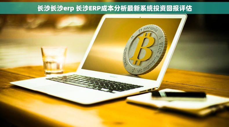长沙长沙erp 长沙ERP成本分析最新系统投资回报评估