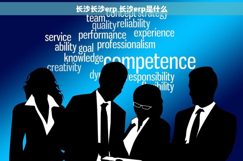 长沙长沙erp 长沙erp是什么