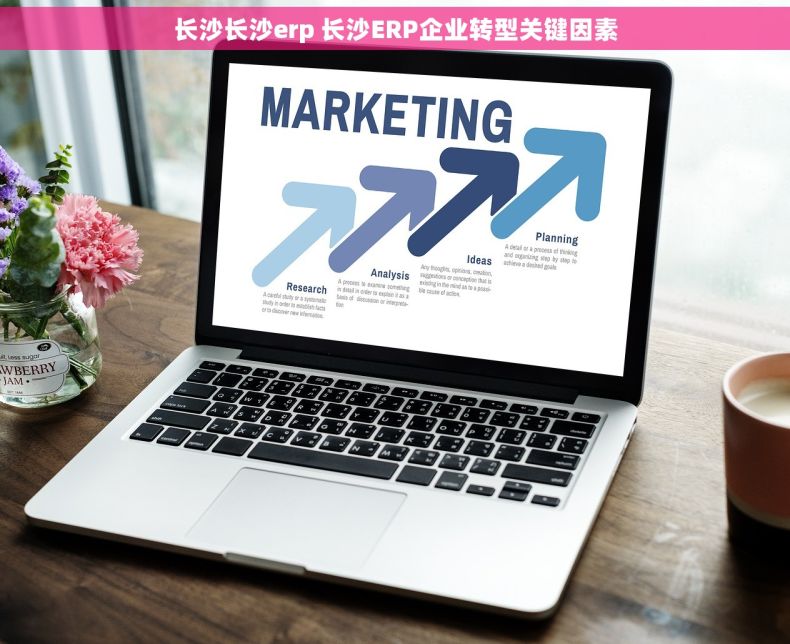 长沙长沙erp 长沙ERP企业转型关键因素