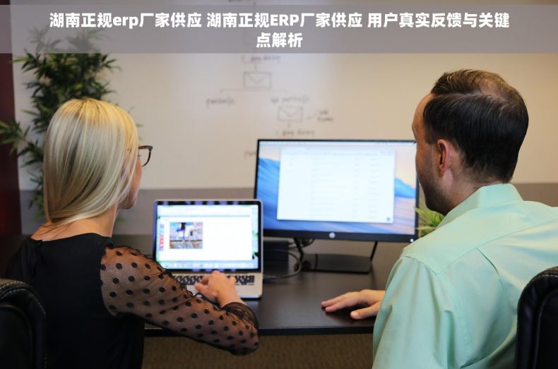 湖南正规erp厂家供应 湖南正规ERP厂家供应 用户真实反馈与关键点解析