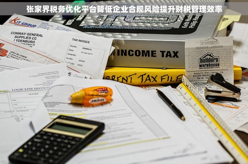张家界税务优化平台降低企业合规风险提升财税管理效率