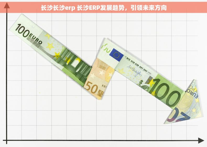 长沙长沙erp 长沙ERP发展趋势，引领未来方向
