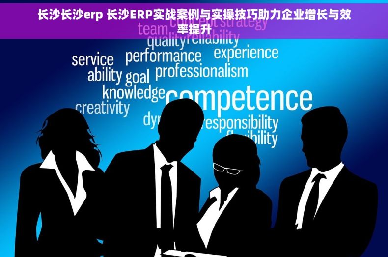 长沙长沙erp 长沙ERP实战案例与实操技巧助力企业增长与效率提升
