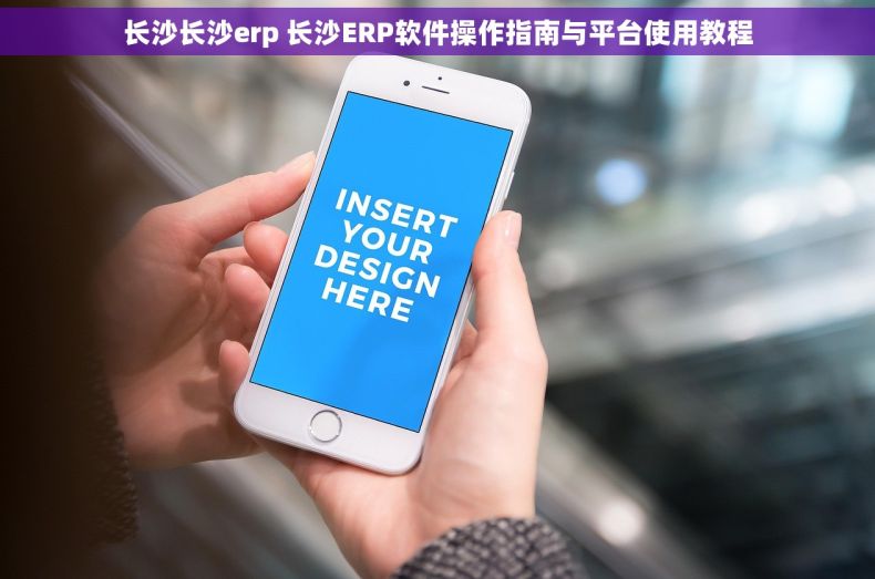 长沙长沙erp 长沙ERP软件操作指南与平台使用教程