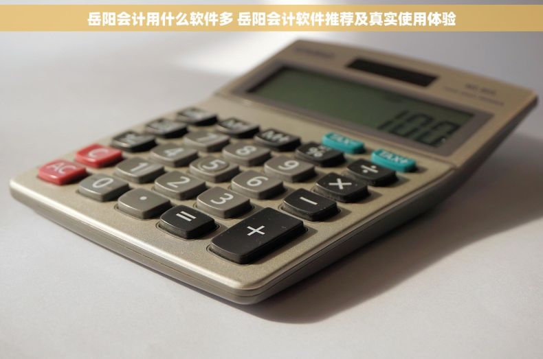 岳阳会计用什么软件多 岳阳会计软件推荐及真实使用体验