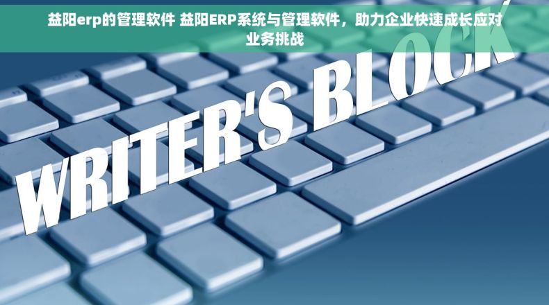 益阳erp的管理软件 益阳ERP系统与管理软件，助力企业快速成长应对业务挑战