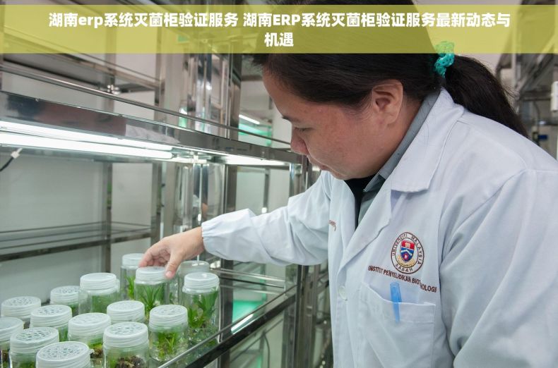 湖南erp系统灭菌柜验证服务 湖南ERP系统灭菌柜验证服务最新动态与机遇