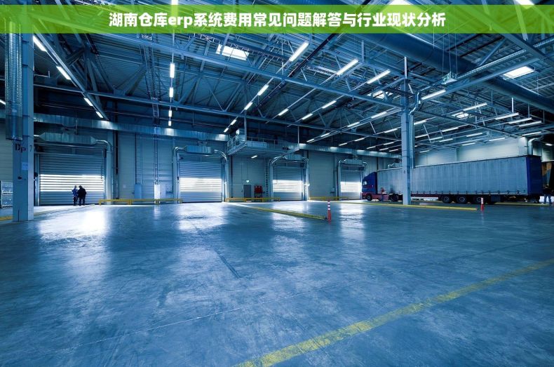 湖南仓库erp系统费用常见问题解答与行业现状分析