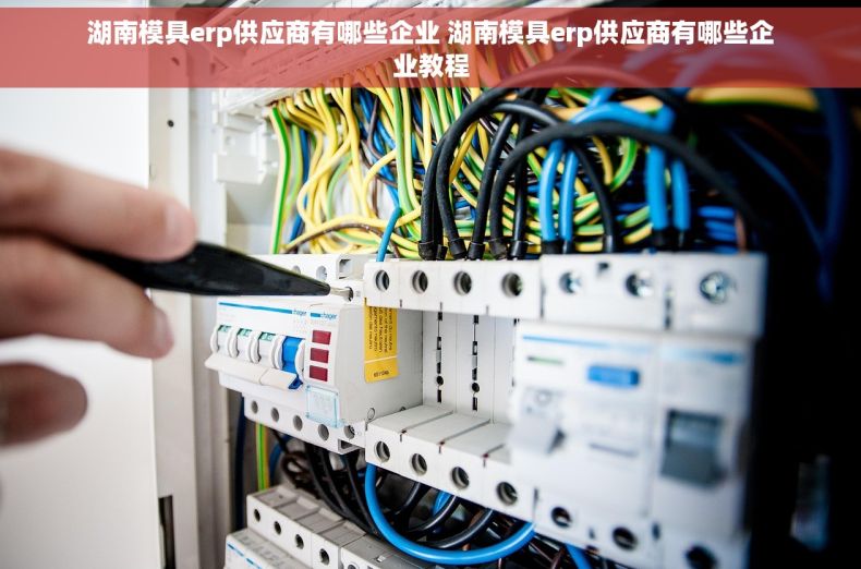 湖南模具erp供应商有哪些企业 湖南模具erp供应商有哪些企业教程