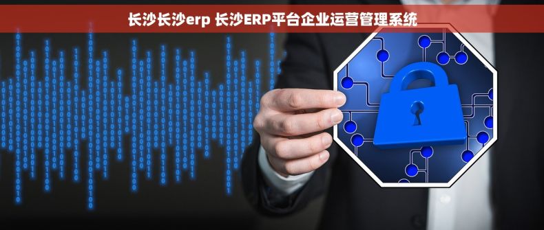 长沙长沙erp 长沙ERP平台企业运营管理系统