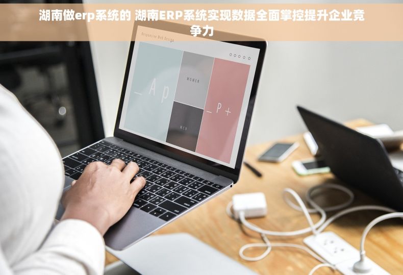 湖南做erp系统的 湖南ERP系统实现数据全面掌控提升企业竞争力